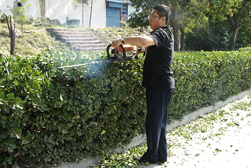 1567053879106060.jpg 04.jpg