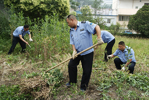 1567053974108616.jpg bw2.jpg