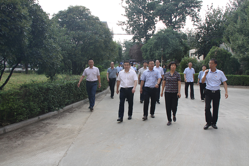 1600126183102854.jpg 01.jpg